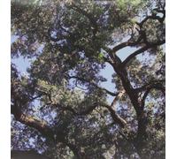 Charles Manson - Trees (Green Vinyl) [VINYL]