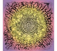 Charles Moothart - Black Holes Don't Choke