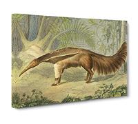 Charles R Ryley Great Ant eater Canvas Print | Gallery Wrapped 30mm Frame Wall Art | 24x16 inches | Ready to Hang | Retro Picture | Living Room Bedroom Lounge Office