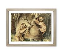 Charles R Ryley Three toed Sloth Vintage Framed Print | A4 Oak Framed Wall Art | Ready to Hang | Classic Nature Picture | Living Room Bedroom Lounge Office