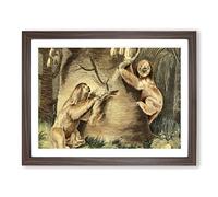 Charles R Ryley Three toed Sloth Vintage Framed Print | A4 Walnut Framed Wall Art | Ready to Hang | Classic Nature Picture | Living Room Bedroom Lounge Office