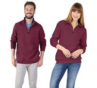 Charles River Apparel Men's Crosswind Quarter Zip Sweatshirt, Maroon, S