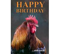 Charles Sainsbury-Plaice Chicken birthday card Caption reads Happy Birthday Old Cock