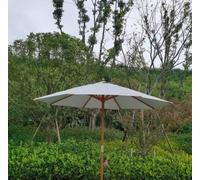 Grey Parasol Charles Taylor Trading Brown One Size
