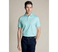 Charles Tyrwhitt Pure Cotton Striped Polo Shirt Green Mix