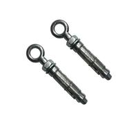 Charles Watson M10 Eye Bolt Shield Anchor Brick Masonry Fixing Pack Of 2