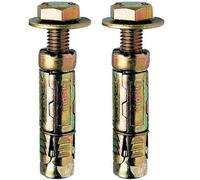 Charles Watson M10X10 Loose Bolt Shield Anchor Zinc-Plated Steel Masonry Fixing Pack Of 2