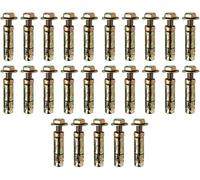 Charles Watson M12X10 Loose Bolt Shield Anchor Zinc-Plated Steel Masonry Fixing Pack Of 50