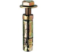 Charles Watson M6X25 Loose Bolt Shield Anchor Zinc-Plated Steel Masonry Fixing