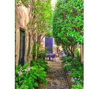 Charleston Alleyways and Hidden Passages Gratitude Journal: 8.5 x 11 100 lined pages softcover photos of brick pathways, alleyways off of Broad St in Charleston