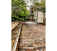 Charleston SC Cobblestones and Brick Passages Gratitude Journal: 6 x 9 100 lined pages hardcover history of cobblestone streets in Charleston