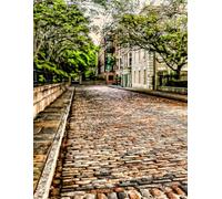 Charleston SC Cobblestones and Brick Passages Gratitude Journal: 8.5 x 11 100 lined pages softcover history of cobblestone streets in Charleston