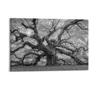 Charleston South Carolina (1) Classic Aesthetic Poster Decorative Painting Canvas Wall Art Living Room Poster Bedroom PaintingFrame-style 08x12inch(20x30cm)