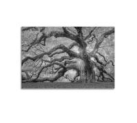 Charleston South Carolina (3) Classic Aesthetic Poster Decorative Painting Canvas Wall Art Living Room Poster Bedroom PaintingUnframe-style 12x18inch(30x45cm)
