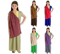 Charlie Crow Alysa Viking or Saxon costume for girls 5-7 Years