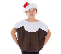 Charlie Crow Christmas Pudding Costume for kids one size 3-8 Years.