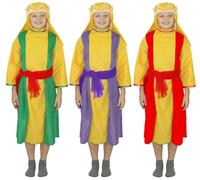 Charlie Crow Deluxe Wiseman/King nativity costume for kids | One Size 5-7 Years (Purple)