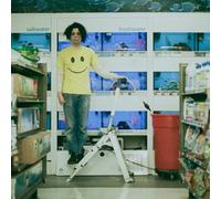 Charlie Hickey - Count the Stairs [VINYL]