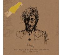 Charlie Megira - End of Teenage [VINYL]