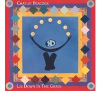 Charlie Peacock - lie down in the grass LP