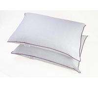Charlotte Andersen Firm Support Pillows Anti Allergenic Hollowfibre Side And Back Extra Comfort 2 Pack