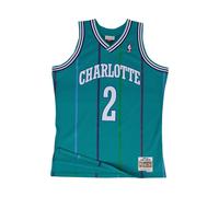 Charlotte Hornets Larry Johnson Swingman Jersey - male - Mitchell & Ness - Training - Green - S - Sport S