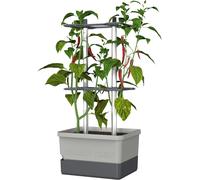 Gusta Garden Charly Chili Chilli Pot Light Grey - Planter with Climbing Aid, Self-Watering System & Robust Frame - 4.5L Water Reservoir & 10L Soil Capacity