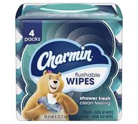 Charmin Flushable Wipes, 4 packs, 40 Wipes Per Pack, 160 Total Wipes