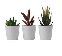 Charming 3pcs Artificial Succulent Plant Set for Indoor Decor Perfect Addition to Your Living Room or Workspace (set3)