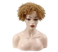 Charming and Fashionable Women's Pixie Cut Short Wigs Heat-Resistant Synthetic Comfortable and Breathable Short Curly Wigs Suitable for Daily Gatherings (E 8in)