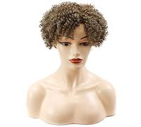 Charming and Fashionable Women's Pixie Cut Short Wigs Heat-Resistant Synthetic Comfortable and Breathable Short Curly Wigs Suitable for Daily Gatherings (F 8in)