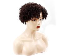 Charming and Fashionable Women's Pixie Cut Short Wigs Heat-Resistant Synthetic Comfortable and Breathable Short Curly Wigs Suitable for Daily Gatherings (B 8in)