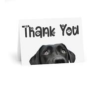 Charming Black Labrador Thank You Card - Paw Prints Design