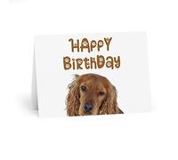 Charming Cocker Spaniel Happy Birthday Card with Doggy Font - Adorable Paw Prints - Perfect for Dog Lovers