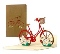 Charming gift voucher bicycle for women, greeting cards, holiday vouchers, days out, unusual gifts, gift ideas for her, birthday card bike for best friend, T19