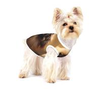 Charming Pekingese Premium Dog Tshirt - Soft 100% Cotton Ropa Para Perros, Perfect for Small to Medium Dogs, Stylish and Comfortable Shirts for Dogs M