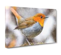 Charming Robin Bird Canvas Print | Gallery Wrapped 30mm Frame Wall Art | 30x20 inches | Ready to Hang | Modern Animals Picture | Living Room Bedroom Lounge Office