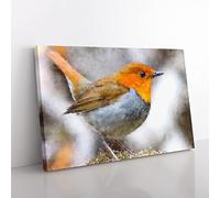 Charming Robin Bird Painting Modern Art Canvas Wall Art Print Ready to Hang, Framed Picture for Living Room Bedroom Home Office Décor, 76x50 cm (30x20 Inch)