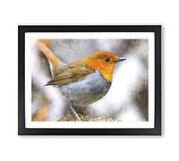 Charming Robin Bird Painting Modern Art Framed Wall Art Print, Ready to Hang Picture for Living Room Bedroom Home Office Décor, Black A3 (46 x 34 cm)