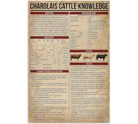 Charolais Cattle Knowledge Posters Historical Information Anatomy Metal Signs Room Decor Popular Science Farm Club Garage Wall Decor Vintage Plaque 8x12 Inch