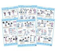 Chartex Weight Training Posters | Bodybuilding Charts | Barbell and Dumbell Freeweight Exercises