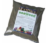 Chase Seaweed Meal, Organic Soil & Plant Food, Hand-Harvested, Slow-Release Fertiliser, Soil Conditioner, 1 x 5kg Bag