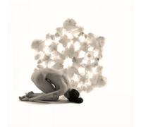 Grimm Larkin : Chasing an Illusion VINYL 12" Album (2017) NEW Great Value