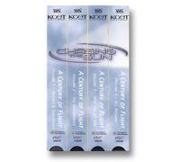 Chasing the Sun - Chasing the Sun - A Century of Flight, Vols. 1-4 [VHS]