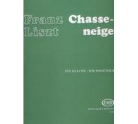 Chasse-neige (Études d'exécution transcendante, Nr. 12)