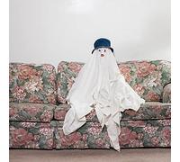 Chastity Belt - Time to Go Home [VINYL]