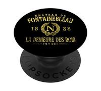 Château de Fontainebleau France La Demeure Des Rois Aged PopSockets Adhesive PopGrip