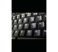 ChatGPT verstehen: Wie Künstliche Intelligenz heute unser Leben verändert