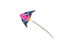 Chatonshen Large, Professional, Creative And Easy-to-make Kite with A Tail, Ideal for Outdoor Family Activities in The Park, on The Beach, for, 160cm
