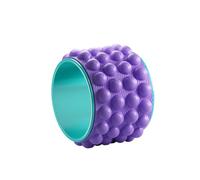 Chatonshen Wheel, Professional Accessory, Circular Roller for Gym, Home, Training And Challenging Positions, Purple and Blue